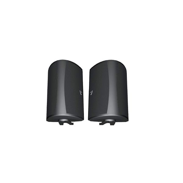 Definitive Technology AW 5500 Outdoor Speaker(Pair)