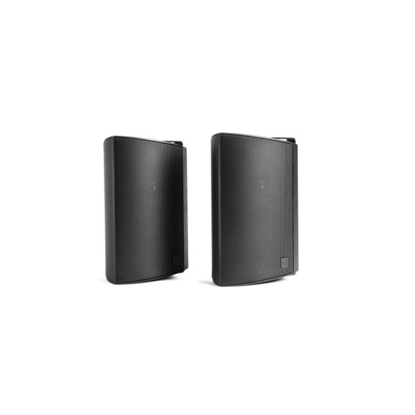 Definitive Technology Dymension AW-450 Outdoor Speaker