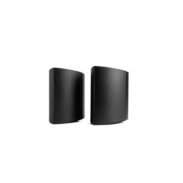 Definitive Technology Dymension AW-650 Outdoor Speaker