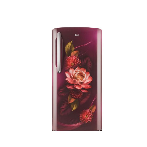 LG REF GL-D241ARWD.DRWZEBN