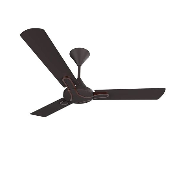 CROMPTON C/F GIANNA ROAST BROWN 1200mm