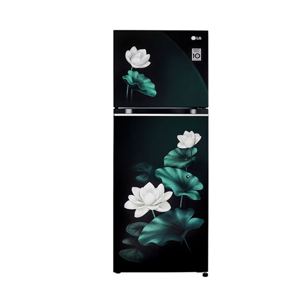 LG REF GL-S262SELX.DELZEBN