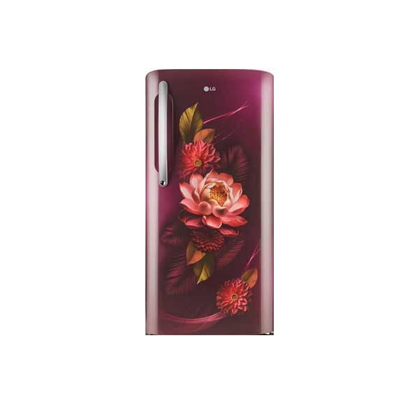 LG REF GL-B241ARWD.DRWZEBN