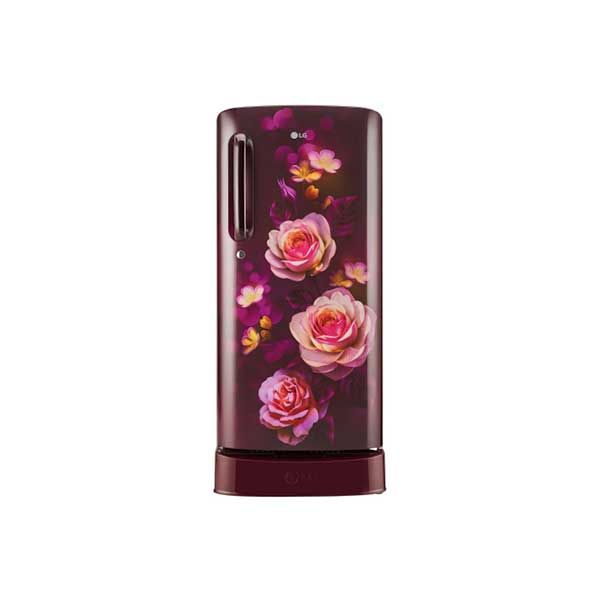 LG REF GL-D201ASBD.BSBZEBN