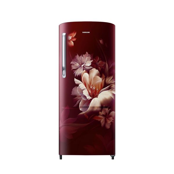SAMSUNG REF RR20D2725RZ/NL